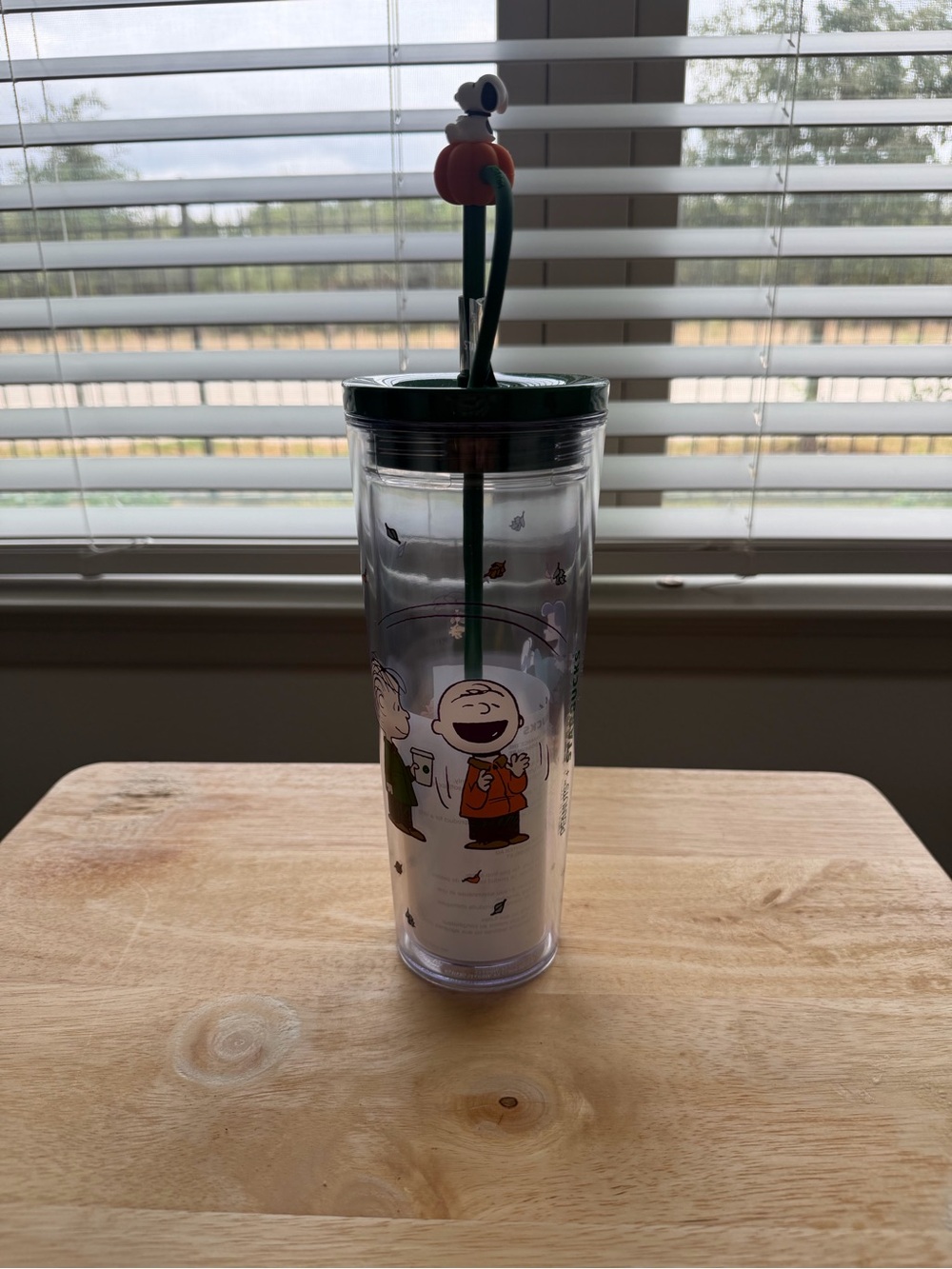 Peanuts Charlie Brown Green Accent Acrylic Travel Tumbler